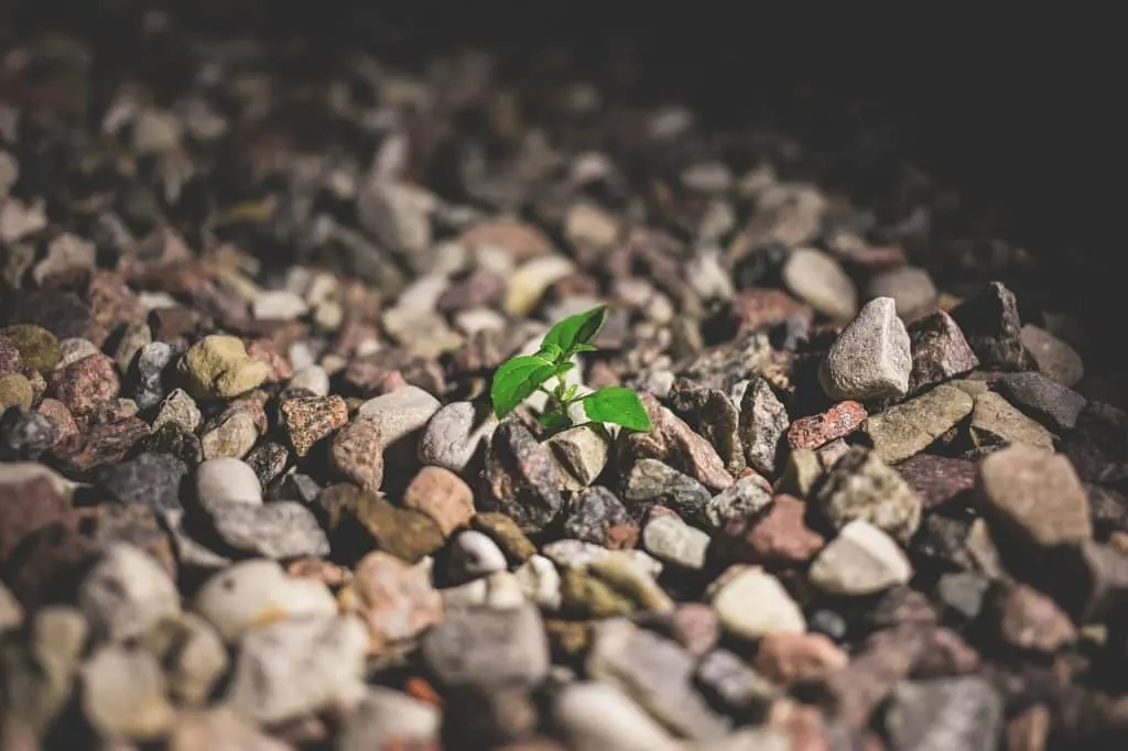 découvrez le pouvoir de la détermination et son impact sur votre réussite personnelle et professionnelle. apprenez comment cultiver cette qualité essentielle pour surmonter les obstacles et atteindre vos objectifs.