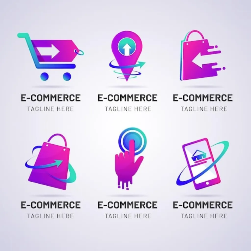 Ma camarade et moi avons décidé de lancer une entreprise de eCommerce avec un budget commun de 10 000 dollars. Après des mois de réflexion sur les produits, nous avons finalement opté pour des raquettes de pickleball.