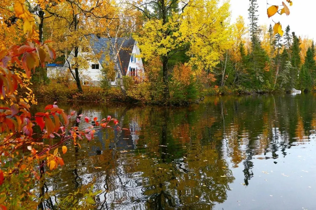 découvrez le canada, un pays aux paysages à couper le souffle, riche en culture et en histoire. explorez ses villes vibrantes, ses parcs majestueux et sa diversité naturelle. que vous soyez passionné de plein air, amoureux de la gastronomie ou curieux des traditions, le canada vous offre une expérience inoubliable.