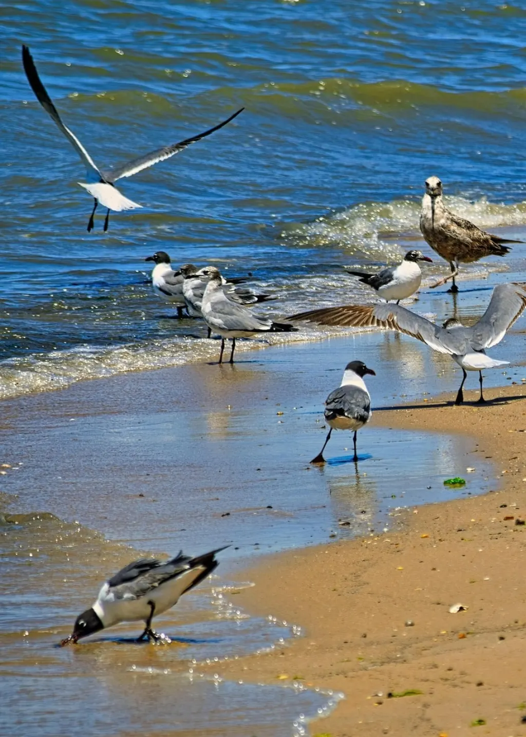 découvrez le delaware, un état fascinant des états-unis, connu pour ses plages magnifiques, son histoire riche et ses villes charmantes. explorez ses attractions culturelles et naturelles, et laissez-vous séduire par ses paysages variés et son ambiance unique.