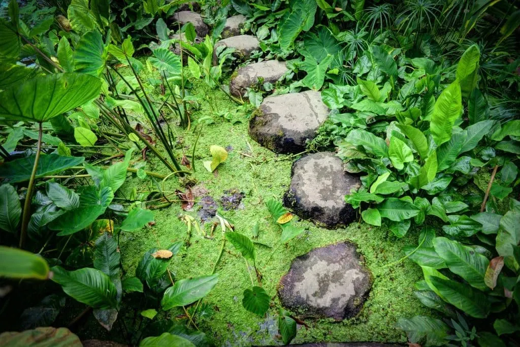 découvrez comment le green business révolutionne le monde de l'entrepreneuriat en intégrant des pratiques durables et respectueuses de l'environnement. apprenez à transformer votre entreprise en un modèle économique éco-responsable tout en augmentant votre impact positif sur la planète.