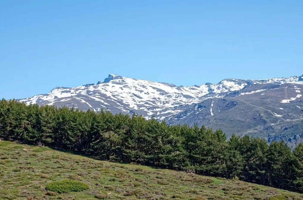 découvrez le nevada, un état emblématique des états-unis, célèbre pour ses paysages désertiques, ses montagnes majestueuses et la vibrante ville de las vegas. explorez des sites naturels époustouflants, plongez dans la culture locale et vivez des aventures inoubliables au cœur du désert.