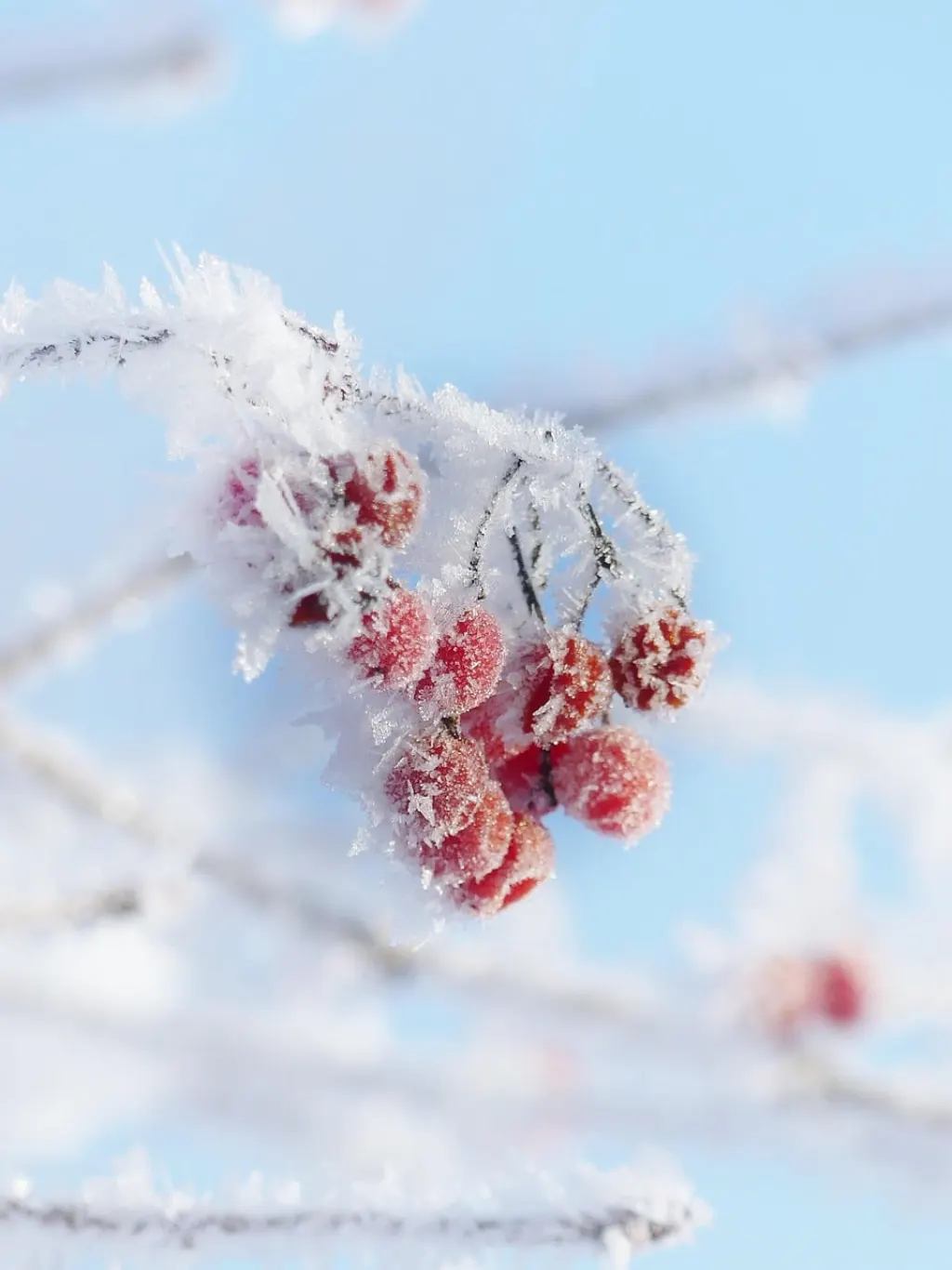 découvrez les dernières alertes de glace pour vous préparer aux conditions hivernales. restez informé et en sécurité avec nos mises à jour sur les températures et les prévisions météo.