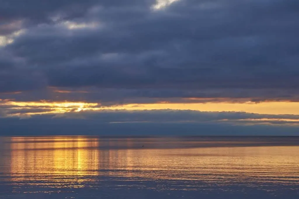 découvrez burlington, une ville dynamique mêlant histoire, nature et activités culturelles. explorez ses attractions, boutiques uniques et paysages enchanteurs. idéale pour un séjour inoubliable au cœur d'une ambiance chaleureuse.