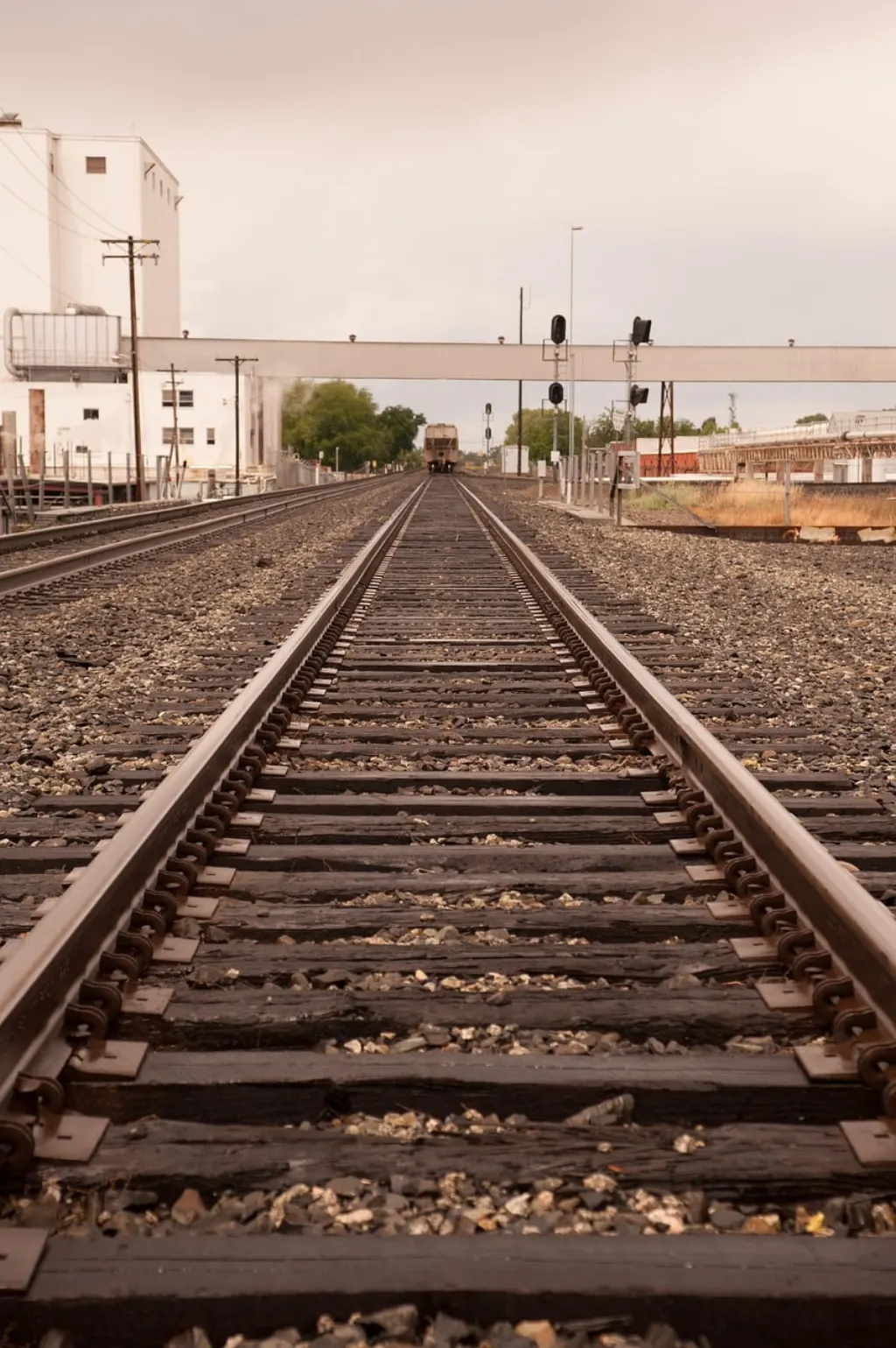 découvrez sacramento, la capitale dynamique de la californie, célèbre pour son histoire riche, ses attractions culturelles, ses espaces verts et sa scène gastronomique florissante. explorez sacramento et vivez une expérience inoubliable !
