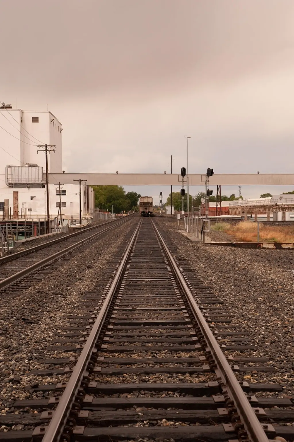 découvrez tous les événements à sacramento : concerts, festivals, expositions et sorties à ne pas manquer. trouvez quoi faire à sacramento cette semaine !