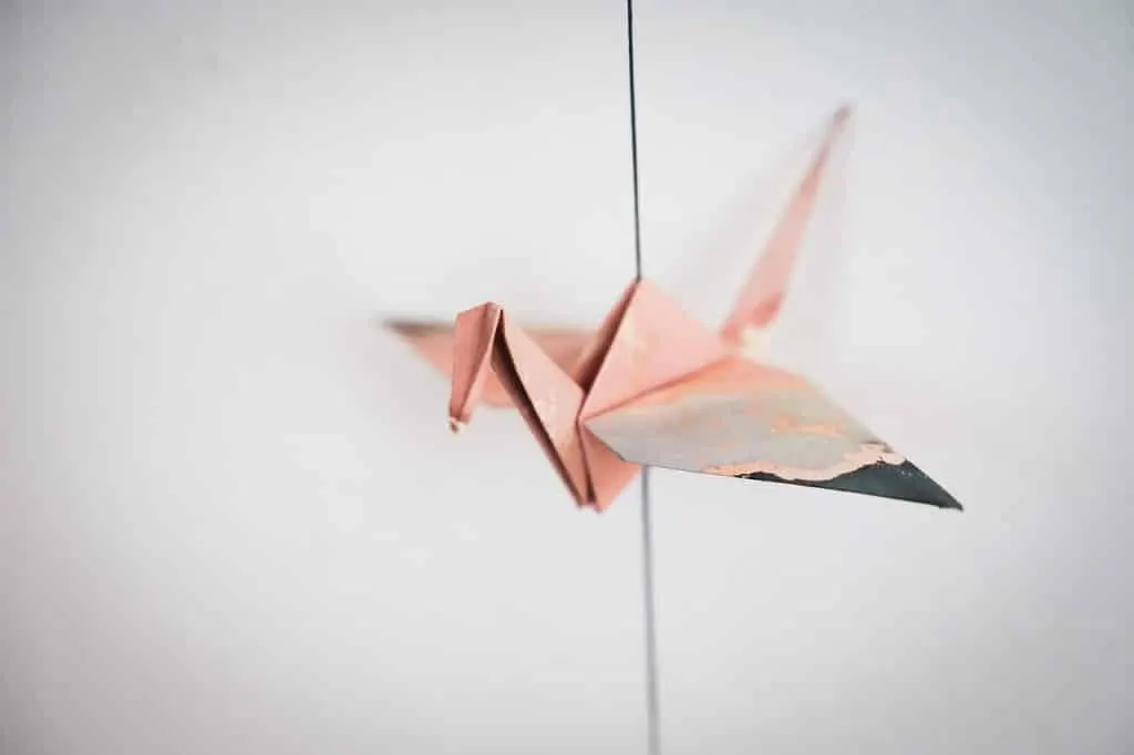 découvrez l'incroyable histoire du gagnant adolescent de concours d'origami, un talent extraordinaire qui plie le papier avec art et passion.