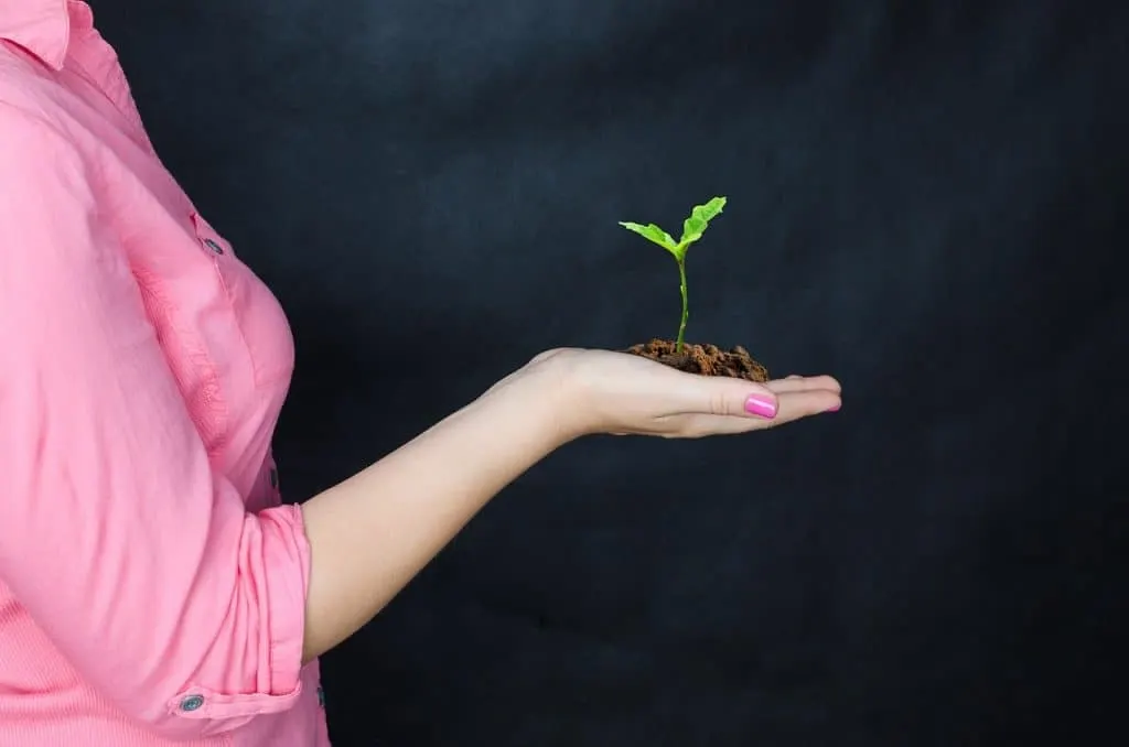 découvrez les opportunités d'investissement dans les startups de semi-conducteurs et soutenez l'innovation technologique de demain.
