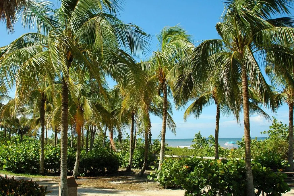 découvrez west palm beach, une destination ensoleillée en floride offrant plages magnifiques, culture vibrante et activités pour toute la famille.