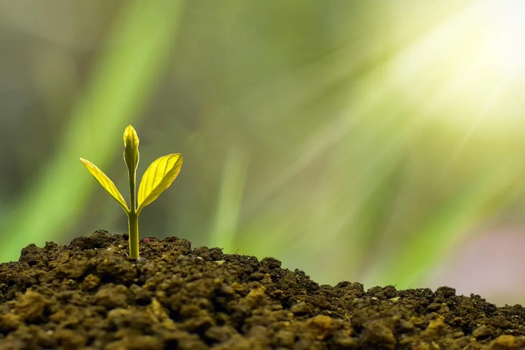 découvrez perplexity investment, une solution innovante pour optimiser vos investissements et maximiser vos rendements grâce à des stratégies financières avancées et personnalisées.