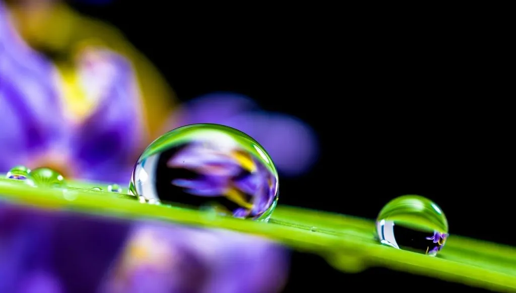 découvrez notre projet de pipeline de captage du carbone, une solution innovante pour réduire les émissions de co2 et lutter contre le changement climatique.