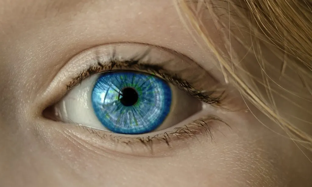 découvrez comment une vision stratégique claire peut guider votre entreprise vers le succès à long terme en alignant objectifs et ressources.