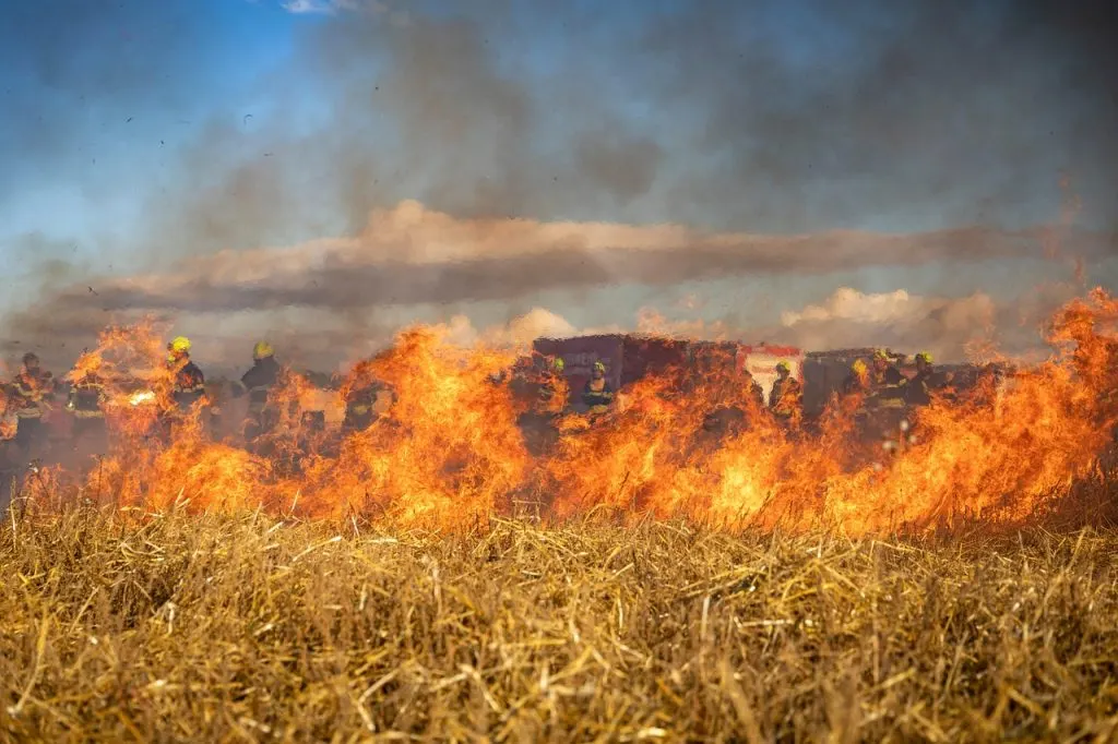 découvrez tout sur les incendies de forêt : causes, conséquences, prévention et gestion des feux sauvages pour protéger les écosystèmes et les communautés.