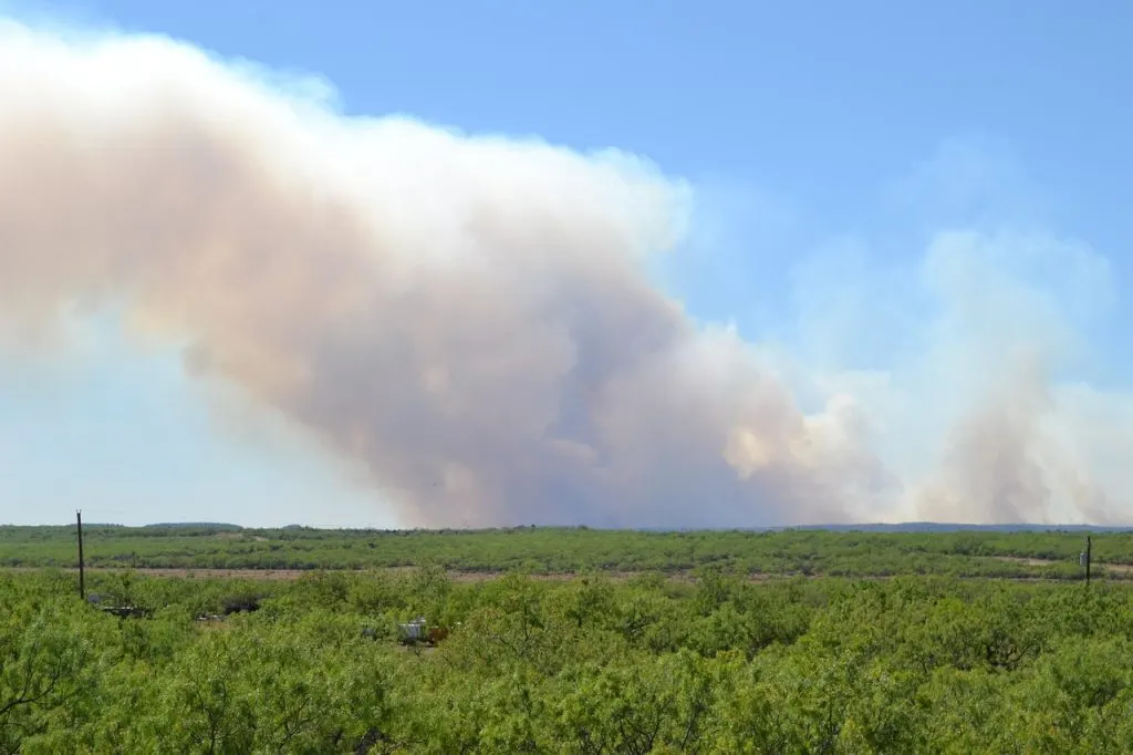 découvrez tout sur les feux de forêt : causes, impacts environnementaux, prévention et conseils pour agir efficacement face aux incendies.