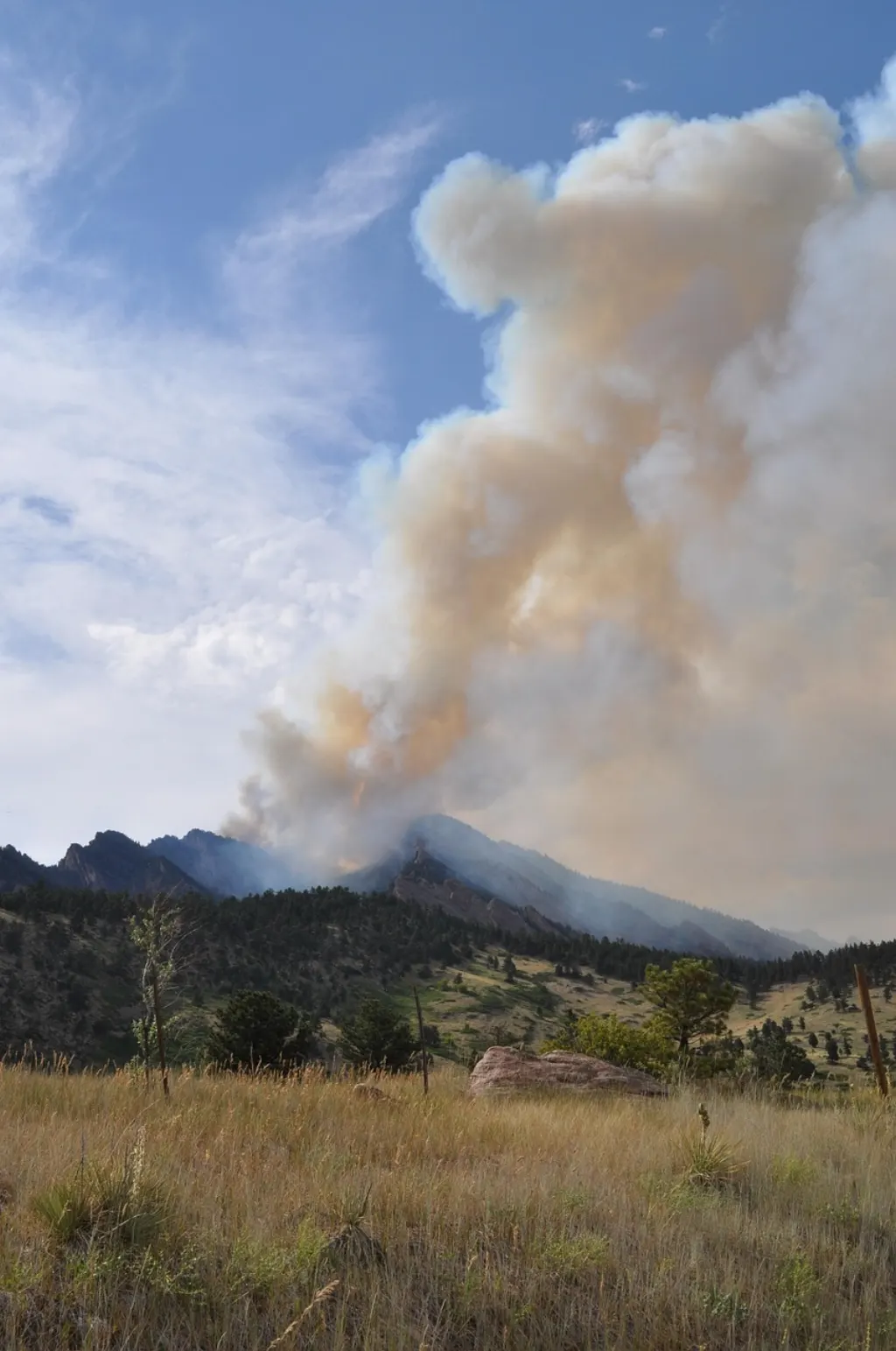 découvrez tout sur les feux de forêt : prévention, causes, impacts environnementaux et conseils pour se protéger face aux incendies sauvages.